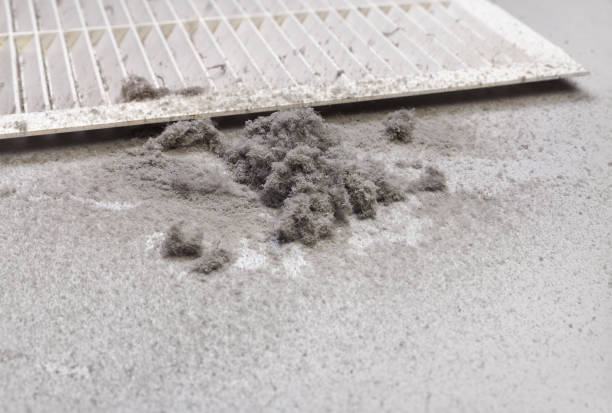 Best Local Air Duct Cleaning Services  in Mesa, AZ