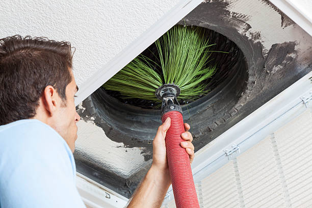 Best Duct Cleaning for Homes  in Mesa, AZ