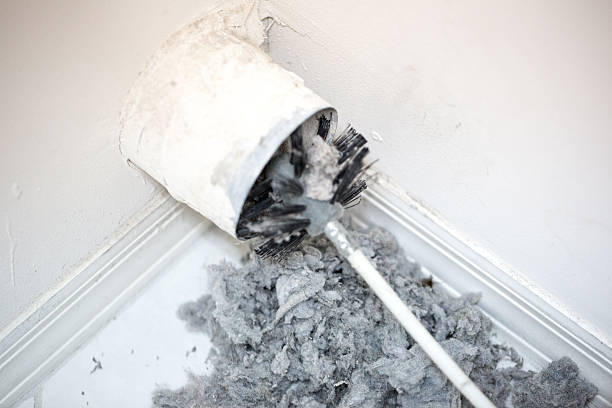 Best Air Duct Mold Removal  in Mesa, AZ